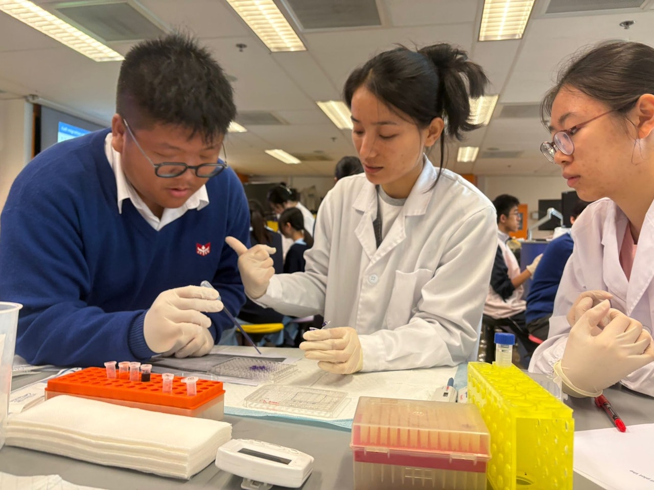 BIOL3016_hk01_20260608_1